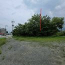 테라경매공인중개사사무소 이미지