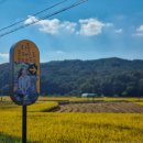 리틀포레스트 촬영지 이미지