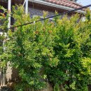 금빛세차장 이미지