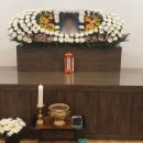 금강의전 이미지