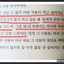 오늘뭐먹지 이미지