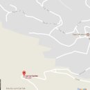 Cat garden 이미지