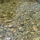 촌락슈퍼 이미지