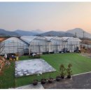 오수리농장 이미지