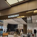 실용의상과 패턴(오후) | 대전 신세계 백화점 버버리 카드지갑 구입 솔직 후기 | 주차.영업시간 총정리