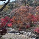 11일1(일)아!!가을단풍여행!!시티투어.문경새재.세트장外신나는여행입니다. 이미지