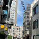 춘천 고양이집 | 춘천 고양이카페 귀여움 폭발 고양이집