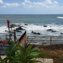 우즈베이커리카페 이미지