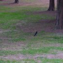 유해백농장 이미지