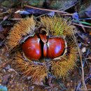 판암동240 이미지