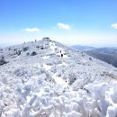 선사시대로 탐방 길(선사2코스) 이미지