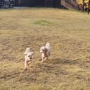 놀다가개유치원 이미지