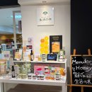 생활의 향기 | [교토 여행] 일상 속에 스며든 향기, 아로마 전문점 '생활의 나무' 방문기 🌱