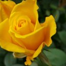 신세계써비스 이미지