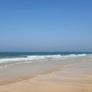 동아수산 이미지