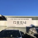 모드니숲 | 일산 모드니 파주 모드니 전부 다녀온 후기