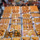 탐라귤빛