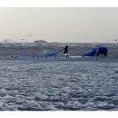 동호해변 이미지