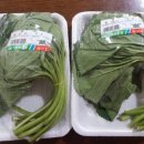 제추골 황토펜션 이미지