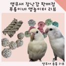 [앵무새 용품 리뷰] 최고의 앵무새 장난감을 판매하는 푸롱이네 후기