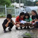 청성초교 병설유치원 이미지