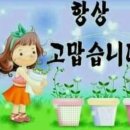 마음씨, 맵씨, 솜씨 이미지