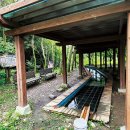 상관편백숲 공영주차장 이미지