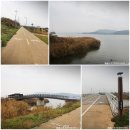 서천 금강2경 도보여행길 | 끝없이 펼쳐진 갈대밭을 만날수 있는 서천 금강2경 도보여행길 - 신성리 갈대밭