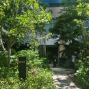 고은사진미술관 | 부산 해운대 혼자여행 하루 코스 추천 | 고은사진미술관 · 모모스커피 · 동백섬 산책 루트
