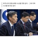 일본 가리비 한국 수출설에 정부 수입규제 유지 이미지