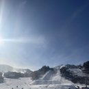 웰리힐리파크 이미지