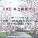 보령 주산 벚꽃축제가4월20일~~22일(3일간)열린답니다. 이미지