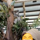 보들농장 이미지