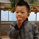 건일농장 Daum카페
