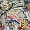 석화로 | 사계절 먹는 대왕석화 삼배체굴 손질법 : 석화회 석화찜 굴찜 : 통영둥이네수산 택배 주문 후기