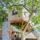 해리의 마법학교 이미지