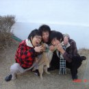 산채로 - 양구군 | 산채로