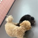 울산유치원 이미지