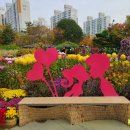 구청 남측광장 이미지