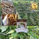 문제환농장 네이버블로그