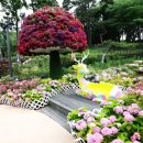 동산충전소 이미지