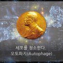 청혈한의원 이미지