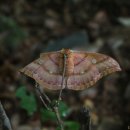 찬물내기 이미지