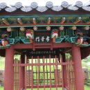 효자문 Daum카페