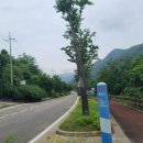 꺼먹다리펜션 이미지