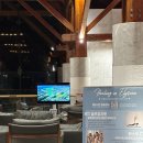 아난티 클럽 제주 휴양콘도미니엄 | 제주 애월 숲뷰 감성 숙소, 엘리시안 제주 리조트 이용후기