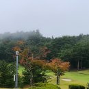 주식회사 다원그린골프 | 📸 포틴 힐스 CC - 사진으로 보는 천상의 골프 코스