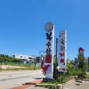 한방엑스포로L 네이버블로그
