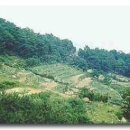 마산-진동-동-비-1 이미지