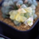 대옥농장 이미지